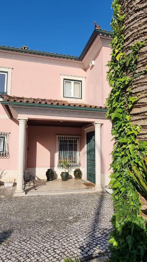 Casa Da Palmeira Leiria Exterior foto